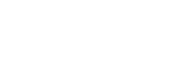 Websites and Microsites
